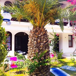  Otel Kiraz Cicegi Butik